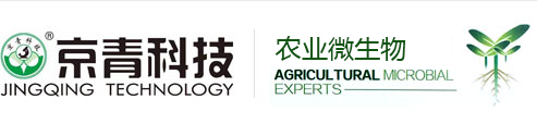 山東京青農業科技有限公司-益生元 微生物菌肥 微生物菌劑