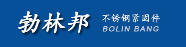 高強度螺絲_不銹鋼螺絲-不銹鋼緊固件-防盜螺絲-南京勃林邦不銹鋼制品有限公司