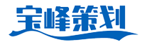 私域運(yùn)營方案|寶峰市場營銷策劃|