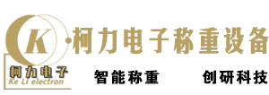 軌道衡-定量包裝秤-配料秤-皮帶秤價(jià)格-除鐵器生產(chǎn)廠家-大連柯力電子稱(chēng)重設(shè)備有限公司