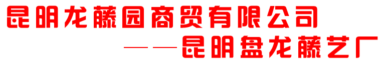 昆明盤龍藤藝廠_昆明藤藝_云南藤藝_昆明藤椅_昆明藤藝_云南藤椅_昆明藤藝廠家_昆明藤椅批發