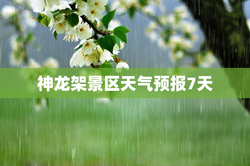 天氣預報