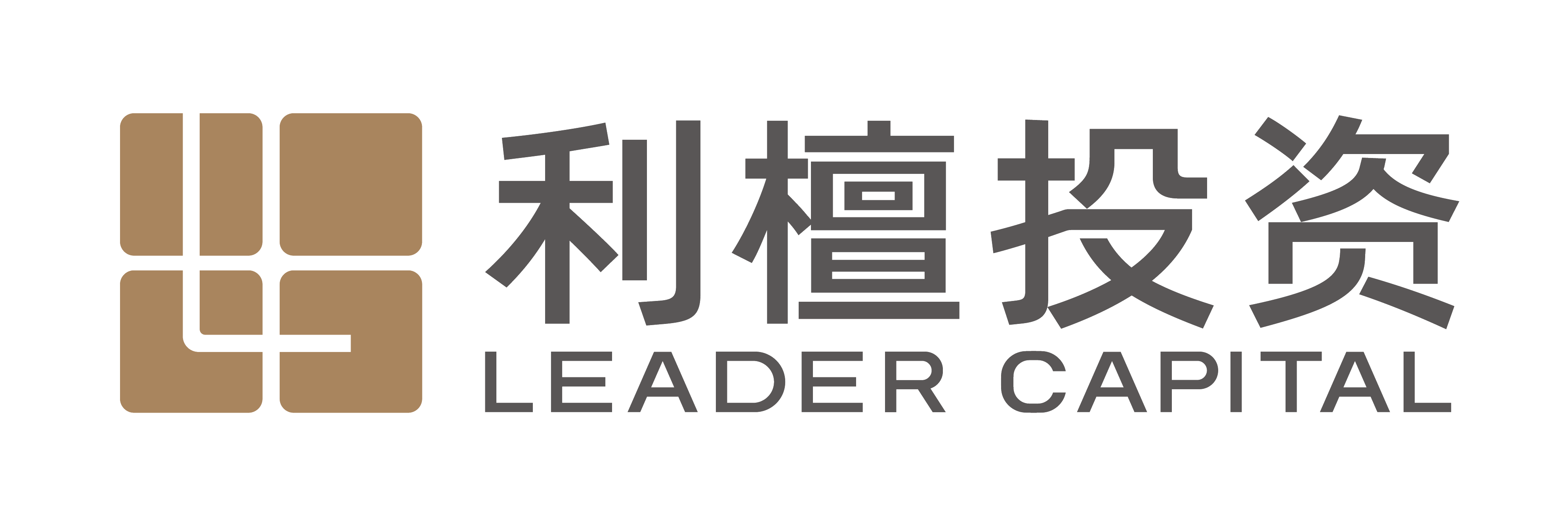 上海利檀投資管理有限公司