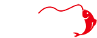 臨釣人(臨沂釣魚人)-臨沂釣魚人專屬APP