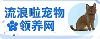 全國寵物領(lǐng)養(yǎng)中心，寵物棄養(yǎng)網(wǎng)站，流浪啦寵物領(lǐng)養(yǎng)網(wǎng)-