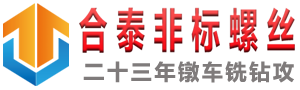 螺絲廠家_非標(biāo)異型螺絲螺母緊固件定制加工_東莞合泰舜彥