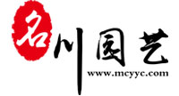 成都苗木批發(fā)_綠化苗木價(jià)格_苗木網(wǎng)_郫縣基地供應(yīng)_名川園藝公司