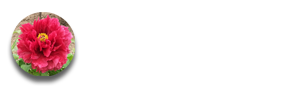 牡丹花開 - 為您分享牡丹花圖片、牡丹花的介紹！