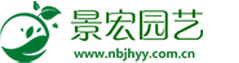 寧波景宏園藝有限公司-寧波綠植租賃,寧波植物租賃,寧波綠植出租,寧波植物出租,寧波花木租賃