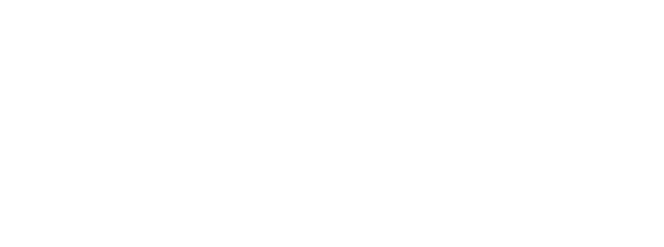 深圳市鴻發廣泛餐飲管理有限責任公司龍崗分公司 火尖槍哪吒仙飲