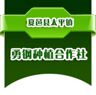 夏邑縣勇鋼種植專業合作社