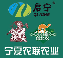 寧夏農(nóng)聯(lián)農(nóng)業(yè)科技有限公司