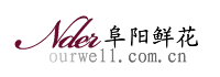 阜陽花店,阜陽網上送花,阜陽鮮花速遞|阜陽自然美鮮花店