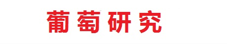 夏黑葡萄苗-紅提葡萄苗-紫甜無核葡萄苗-葡萄研究