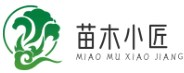 電子錢包專家 - 安全便捷的電子錢包解決方案