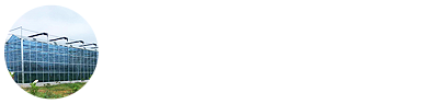 玻璃溫室_智能溫室廠家-青州市中建農(nóng)業(yè)科技有限公司