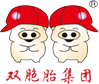 雙胞胎集團