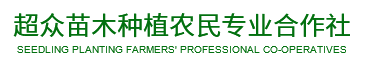 雅安市名山區超眾苗木種植農民專業合作社