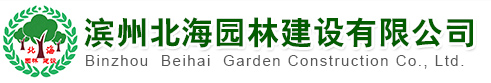 濱州園林工程|市政工程|道路照明工程-濱州北海園林建設有限公司