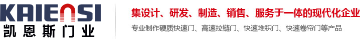 山東凱恩斯門業有限公司