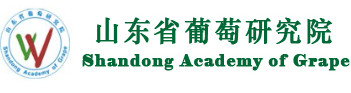 山東省葡萄研究院【官網(wǎng)】