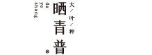 曬青普普洱茶源頭廠商,普洱茶,普洱茶批發,普洱茶代理 - 曬青普茶業