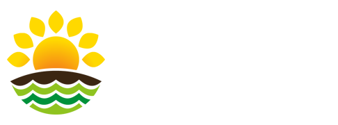 興學網-辛辛學子學習資訊平臺