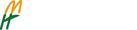 群體光合檢測-冠層光合檢測-葉綠素?zé)晒獬上裣到y(tǒng)-植物表型平臺(tái)-上海黍峰生物科技有限公司