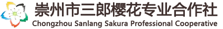 四川成都櫻花-四川櫻花基地-成都高桿櫻花-成都垂枝櫻花-崇州市三郎櫻花專業合作社