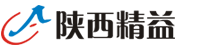 陜西精益齒科技術有限公司