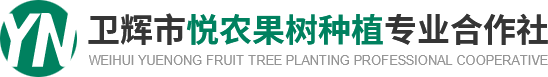 衛輝市悅農果樹種植合作社