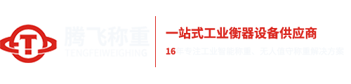 電子吊秤_裝載機秤_無人值守汽車衡_非現場執法-鄭州騰飛稱重技術有限公司