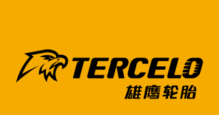 雄鷹輪胎集團有限公司