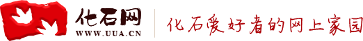 化石網