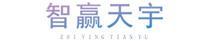 智贏天宇-VR_AR_數字孿生_虛擬仿真_智慧工廠_軟件開發公司。承接UE5_Unity3D項目外包。