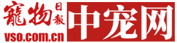 VSO中寵網(wǎng)