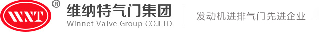 維納特氣門有限公司