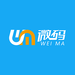 網(wǎng)站建設(shè)_小程序開發(fā)_定制開發(fā)_丸子建站