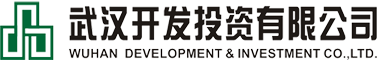 武漢開發投資有限公司