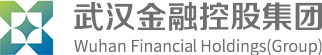 武漢金融控股（集團）有限公司
