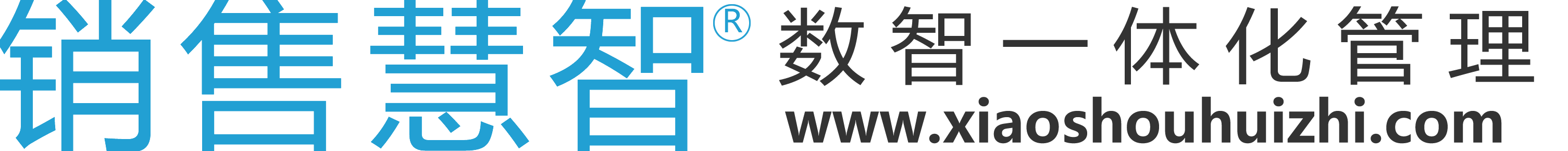 銷售慧智官方網站 - 銷售慧智 www.xiaoshouhuizhi.com - 數智一體化管理 先行者