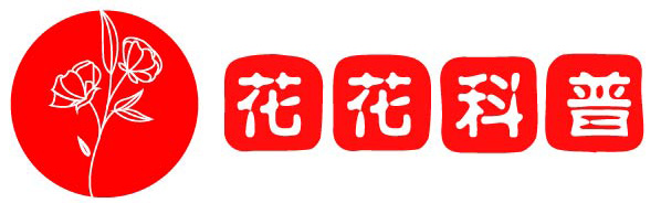 月付教程網