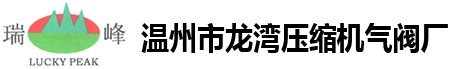 溫州市龍灣壓縮機(jī)氣閥廠 ,壓縮機(jī)氣閥，壓縮機(jī)氣閥配件，PEEK閥片