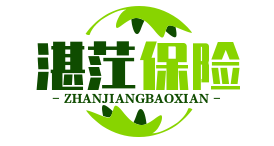 湛茳少兒險_湛茳【兒童旅游保險_兒童教育保險_青少年醫(yī)療保險】資訊(薩烏丁)