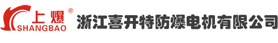 浙江喜開特防爆電機有限公司