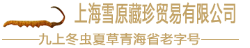 上海雪原藏珍貿(mào)易有限公司