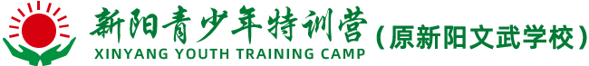 來賓新陽少年軍特訓營
