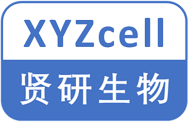 上海賢研生物科技有限公司