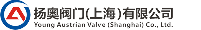 進(jìn)口閥門(mén)品牌-進(jìn)口減壓閥|氣動(dòng)球閥|蝶閥-揚(yáng)奧閥門(mén)（上海）有限公司