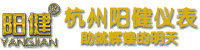 水質(zhì)檢測(cè)儀器-在線監(jiān)測(cè)多參數(shù)分析儀-在線監(jiān)控pH計(jì)_杭州陽(yáng)健儀表公司